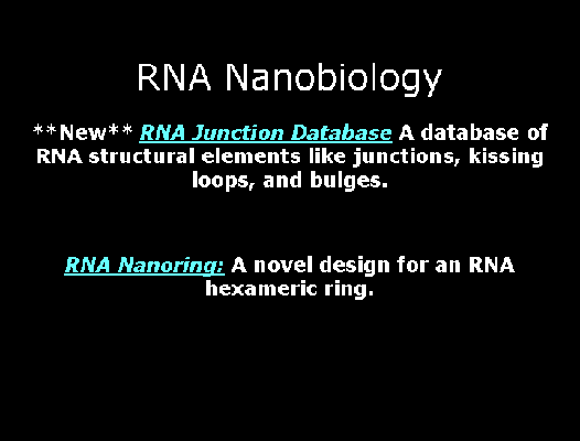 RNA Nanobiology image