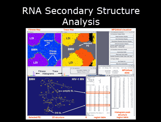 RNA Secondary Structure Analysis