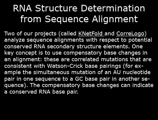 RNA Structure Determination from Sequence Alignment