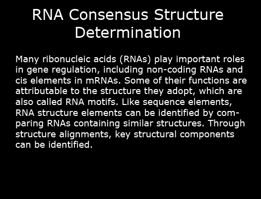 RNA Consensus Structure Determination