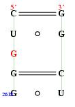 secondary structure of junction 2976