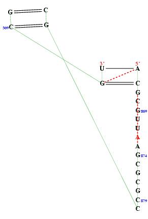 Hit refresh for a different example secondary structure of junction 3172
