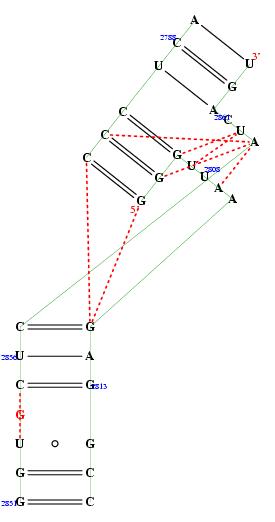 Hit refresh for a different example secondary structure of junction 4159