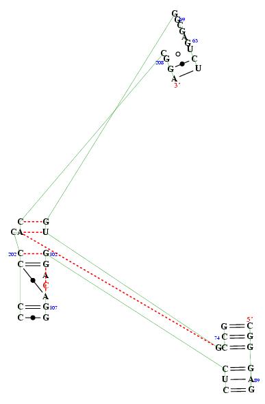 secondary structure of junction 9682